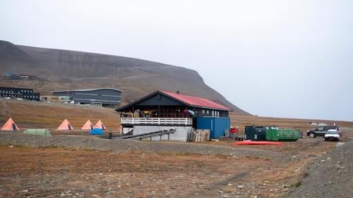 北极|男子北极露营半夜被北极熊撕咬而死,政府提醒游客随身携带枪支