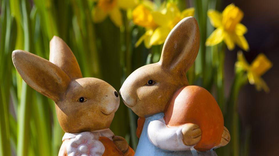 单身|985高颜值硕士女至今单身，茫茫人海，遇见他的概率比彩票还小？