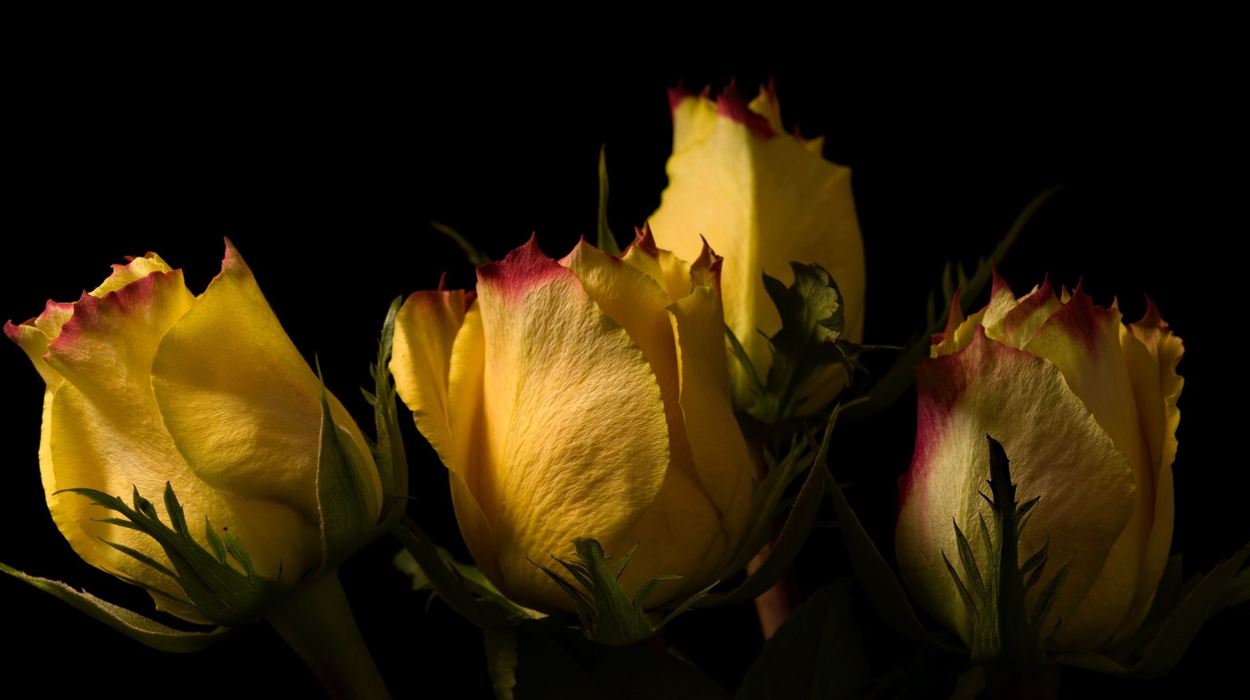  星座|在近期，桃运缠身，旧爱现身，触动心弦，四大星座打破隔阂再相爱