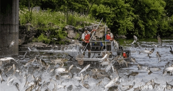 中国|老外: 为何中国人吃中餐没事? 他们完美的违反了美国食品安全建议