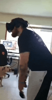 围住|搞笑GIF：带柴犬出门结果被一群妹子围住了