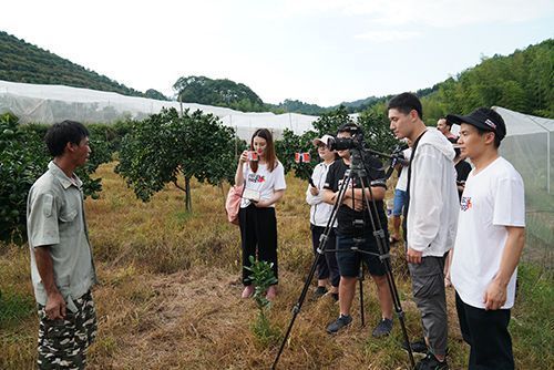 大道|“大道康庄——人民网全媒体调研行”走进福建 首站聚焦武平林改