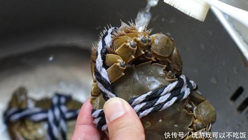 冷水|蒸螃蟹时,用冷水还是热水?蟹农教您一招,螃蟹不掉腿,不流黄