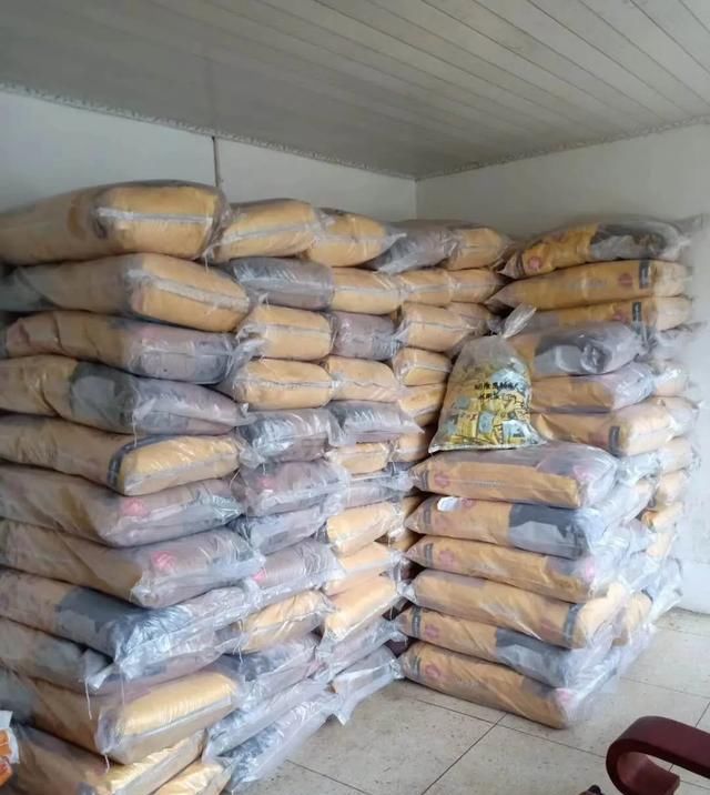 出场|记者深入调查:楚雄市被抓的流浪犬哪去了?