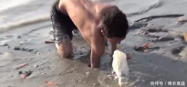 皮皮虾|海滩上发现有两个小洞 男子竟把腿伸进去 大呼: 原来它住在里面