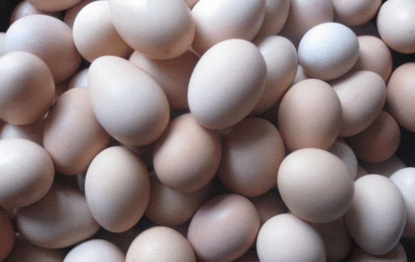 超市|去超市买鸡蛋，选白壳还是红壳好？超市员工说漏嘴，别再买错了