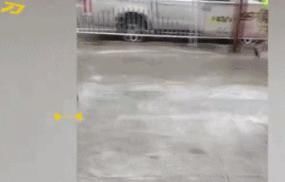  消防栓|硬核！消防栓爆裂狂喷水，小伙一屁股坐下，人肉压水花~