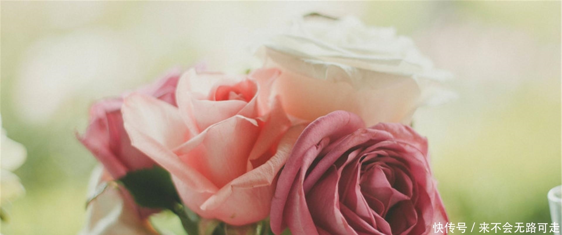 感情里|有一种深爱,叫成全