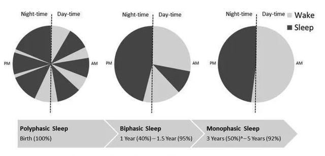  别生气|娃在幼儿园不睡午觉，让老师头疼？别生气，你的娃可能很聪明