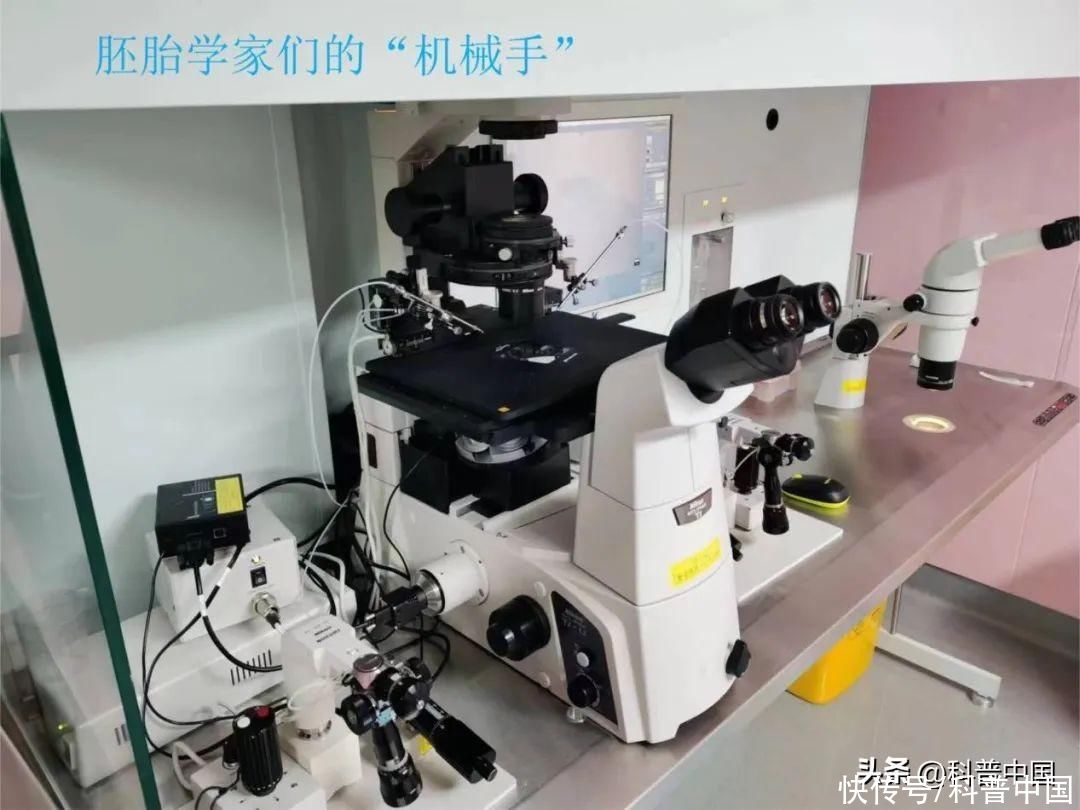 试管婴儿是在试管里出生的吗(试管婴儿就是从试管里出生的孩子吗？)