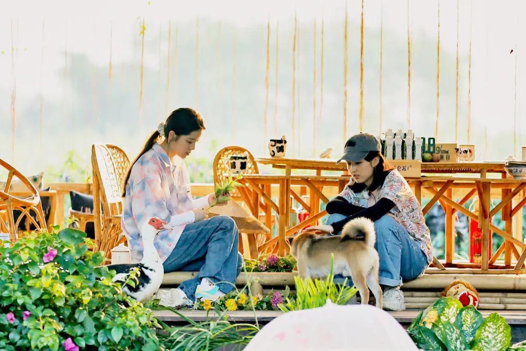  节目|营销又翻车了，她还能扭转口碑吗？