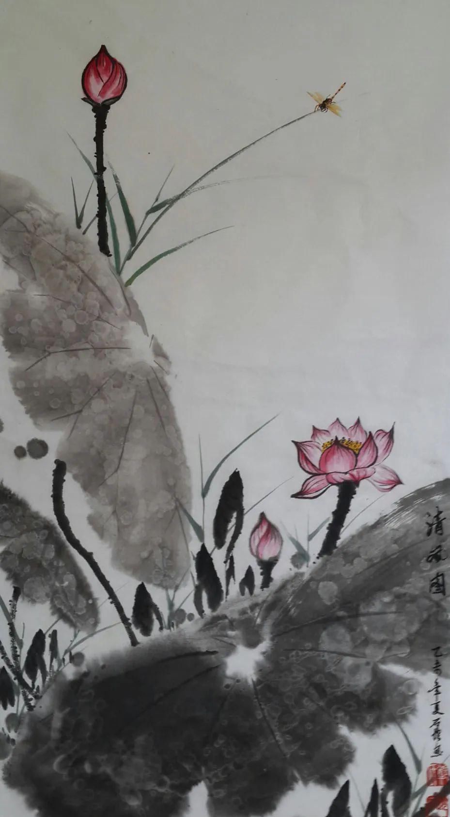  湛江市坡头区摄影协|映日荷花醉「乾塘」