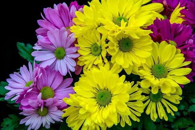  视角|【摄影讲评】焦距到底是个什么 第1226讲？