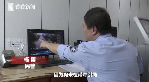  宝应交警射|金毛犬未栓绳从路边窜出 女骑手被撞断两根肋骨