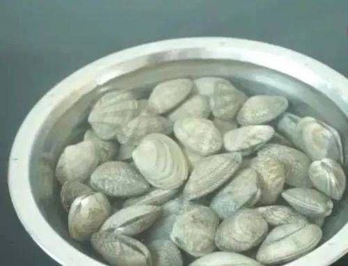  花甲|花甲不用使劲洗，只需倒点厨房里面的“它”，泥沙自己就跑出来！