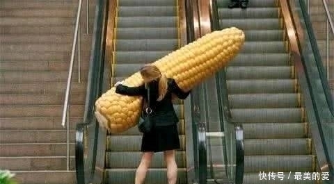 图片|趣味图片幽默段子笑话: 大哥你拿着块板砖想干啥呀,哈哈哈