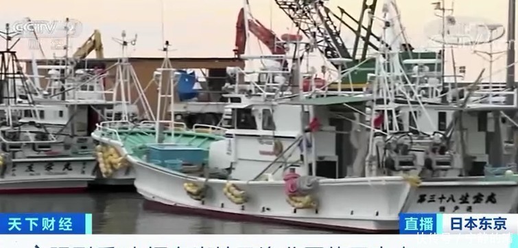 排入大海|突发!日本这一计划遭强烈反对………