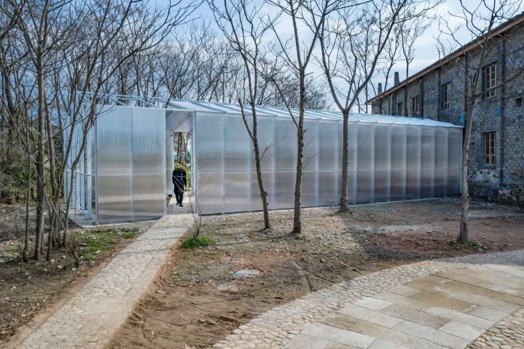 乡村|走进松阳，感受散落在乡村的“时光琥珀”