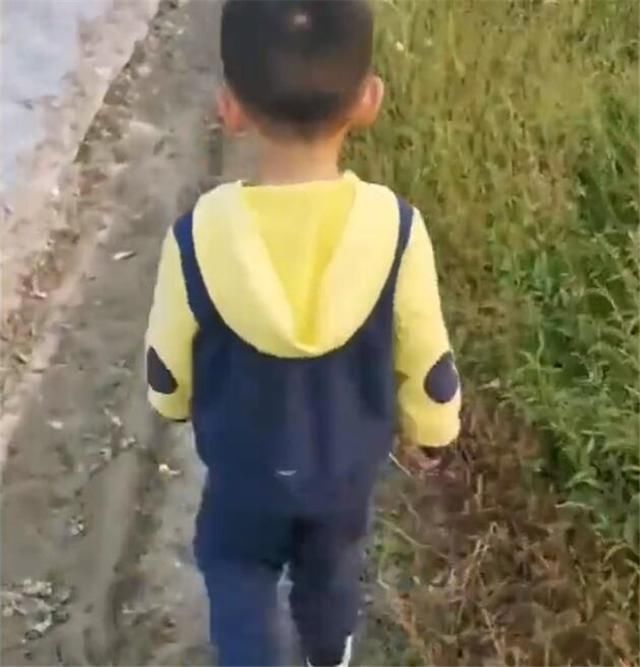  挖掘机|萌娃近距离看挖掘机，被司机叔叔抱进驾驶室，网友：人生赢家