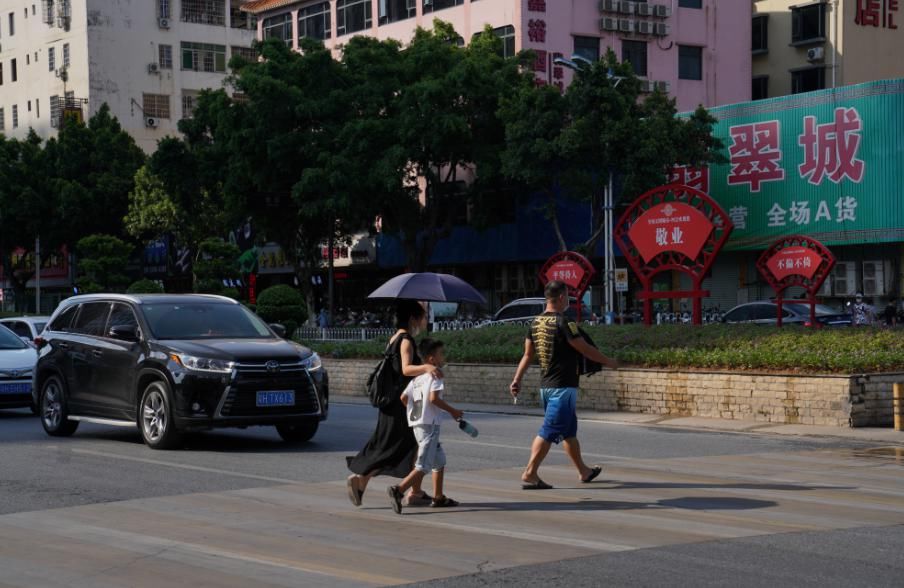  司机|四会街头的这道靓丽风景线，你有注意到吗？