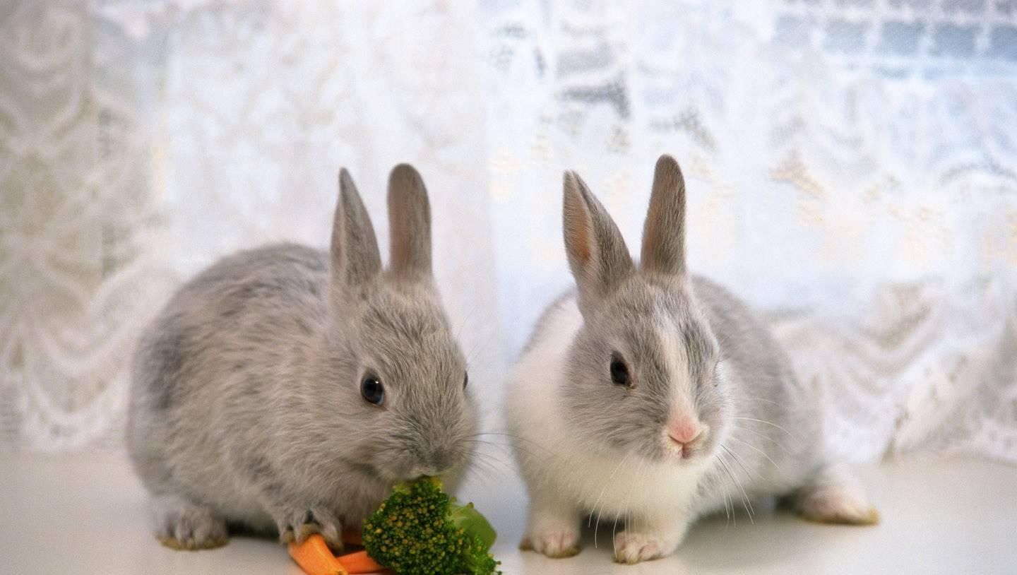  事业|9月财神爷点名，事业顺畅，财大气粗的三生肖