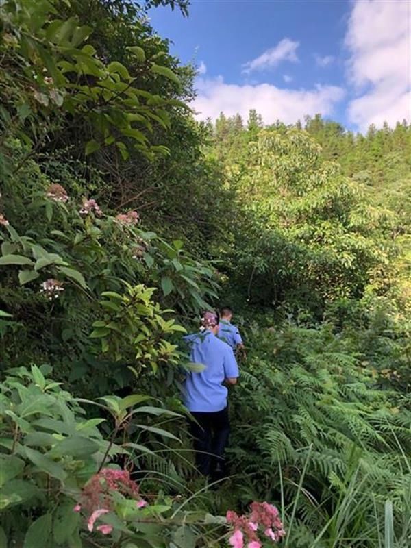  村民|数千村民给警方当眼线，警犬围山逼出饿晕的飞贼