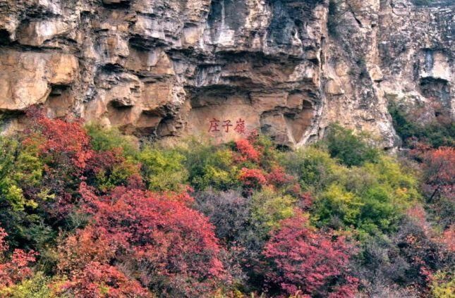 空中画廊|万山红遍！河北12个绝美秋景，邯郸的是这里！