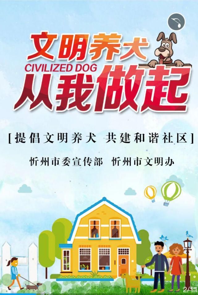 重点管理区内|文明之忻丨文明养犬 从我做起