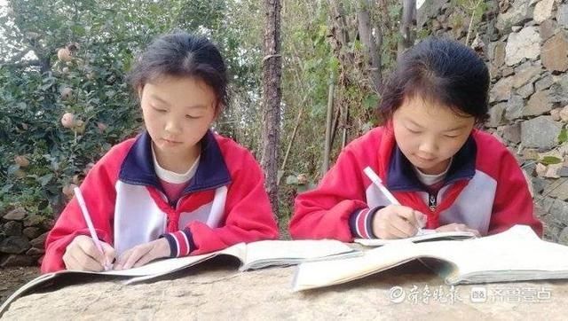 果园|在果园里写作业的小姐俩