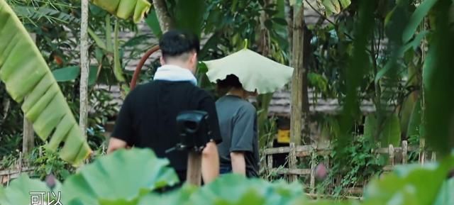 关系户|亮点不断!《向往的生活》迎来最强关系户,盼了三期,何炅终圆梦