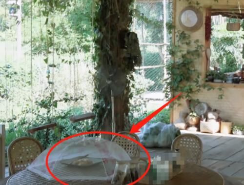  好吃|《向往4》海涛夸拔丝香蕉好吃，却被桌上剩菜出卖？网友：懒得装！