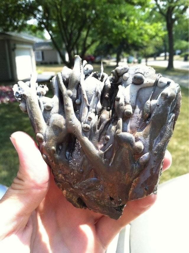  活久|30张“活久未见”的照片：被闪电击中的木头，好像一副国画