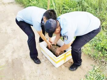 废旧|村民家中发现战争遗留废旧炸弹