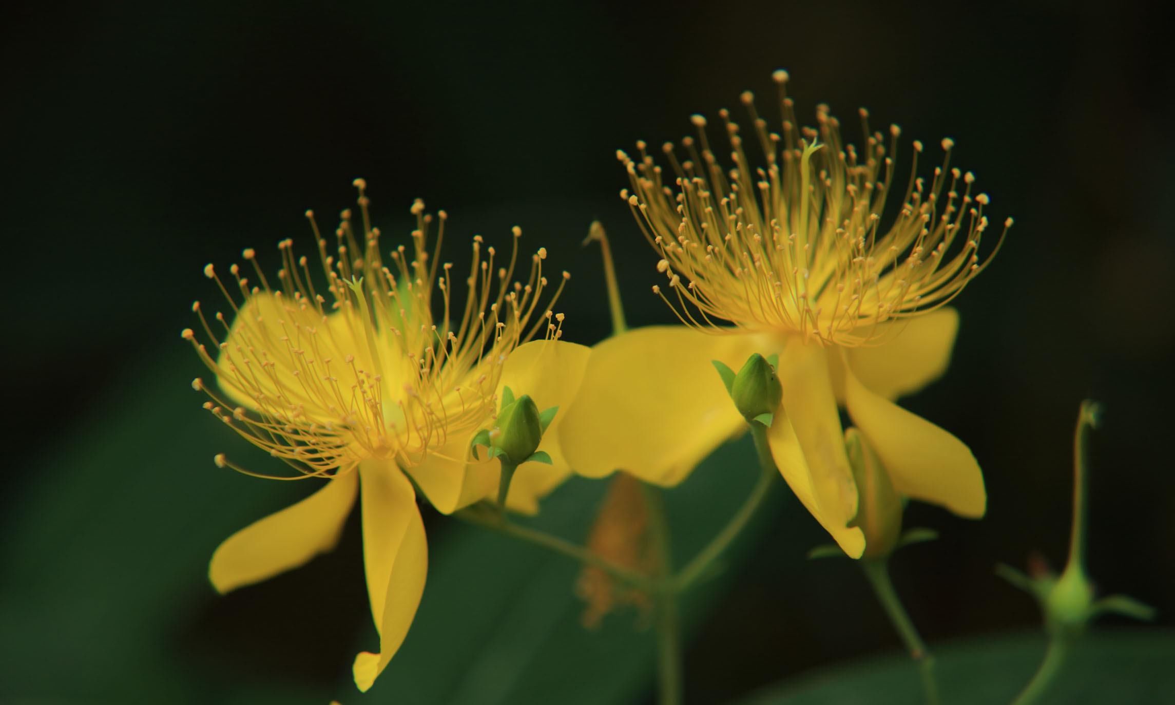 疏远|成年人“疏远”潜规则:不回消息