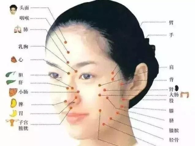 皮肤|脏腑对应皮肤,一荣俱荣,一损俱损,真正的美,是以内养外