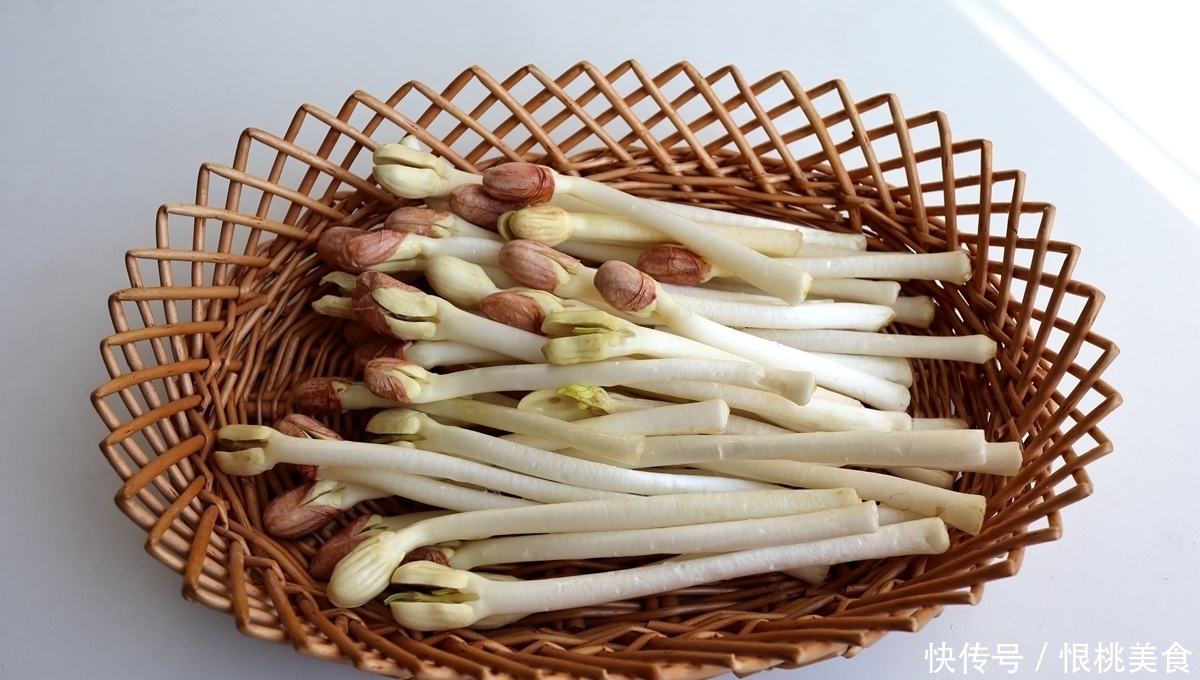 抢手货|此菜自然发芽有剧毒,人工发芽营养翻5倍,10元一斤成抢手货