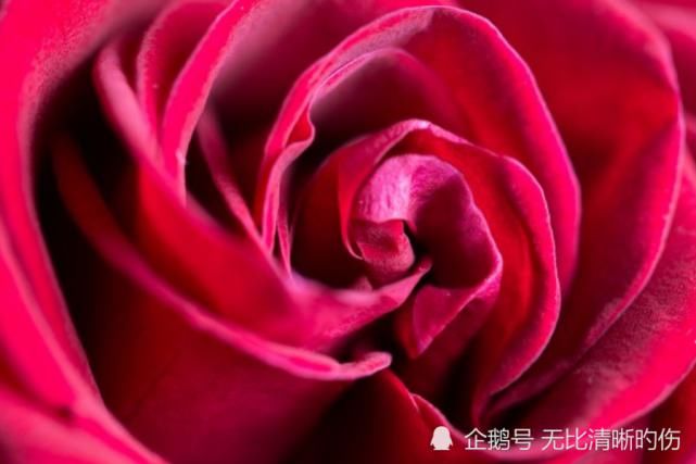 上旬|十月上旬开始，运势如虹，好运追着跑，事业顺风顺水的生肖