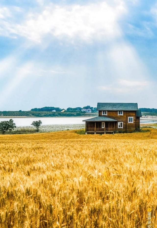  拍摄地|30张图，铭记今夏天地人间