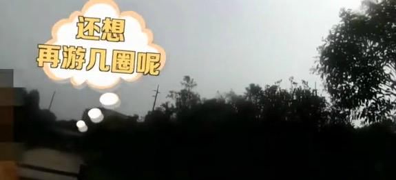 民警|八旬老人野泳遭民警劝阻直呼不过瘾：我还想再游几圈呢