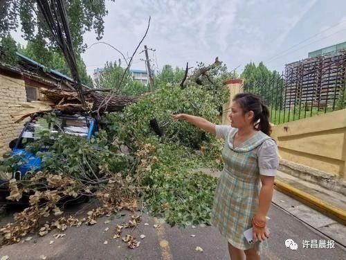  断落|祸从天降！直径30厘米的枝干突然断落，她奋力推开两名幼童