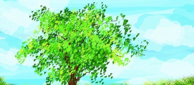  轻而易举|情深难以忘怀, 三星座8月邂逅真爱, 摆脱孤单, 与真情白头偕老