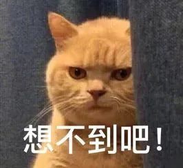 帮忙|热心肠帮忙入手“错票”，意外收获579万大奖