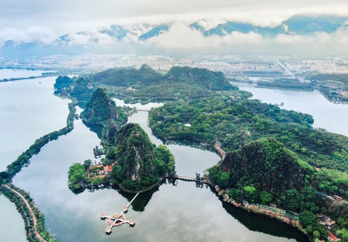 野生鸟类|艺术照曝光!肇庆竟藏有这么多野生“精灵”,很多没见过……