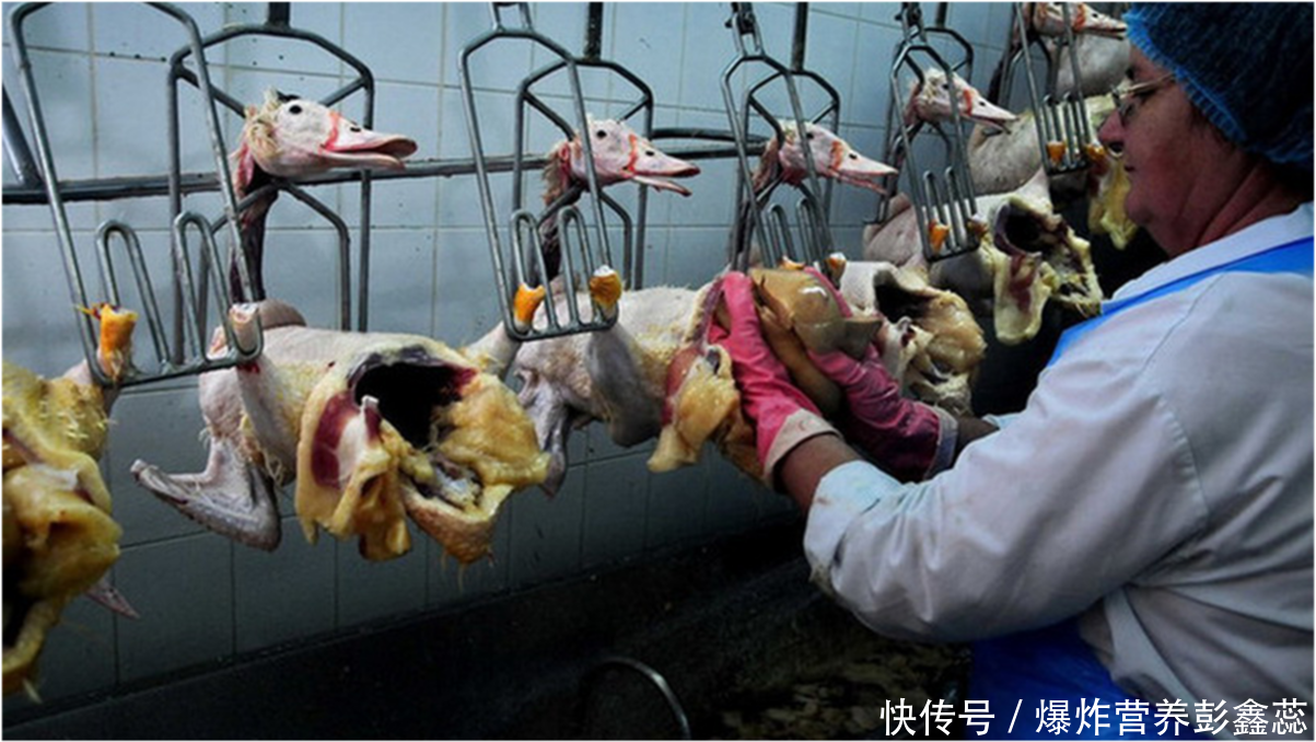吃腰子真的可以补肾吗(经常吃腰子补肾的人，最后都怎么样了？身体变好了还是变坏了)