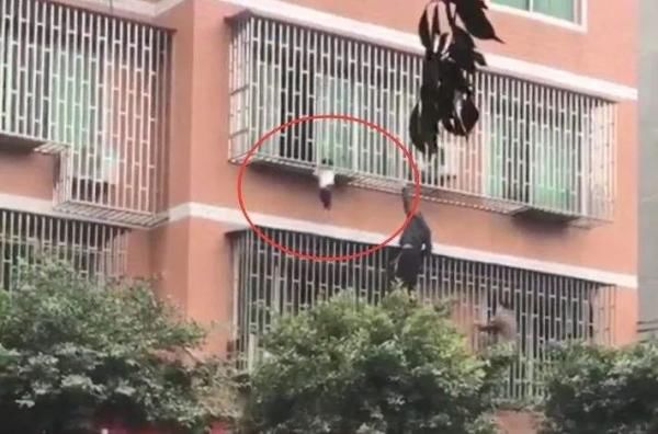  家中|浙江一幼儿手指被“吃”！这种东西家中常见，严重可截肢！