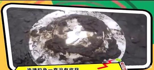  家门口|男子抽干家门口的池塘，准备捞鱼，结果发现惊人财富！