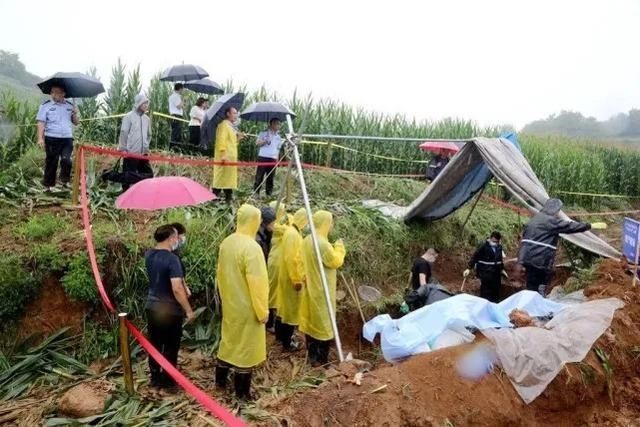  民警|妻子杀夫逃亡30年！年近古稀被捕，被害人竟被藏在……