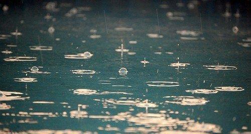 生活|如果每天都像两粒豌豆一样，你会过这种生活吗