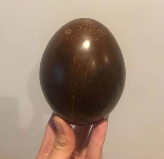  活久|30张“活久未见”的照片：被闪电击中的木头，好像一副国画