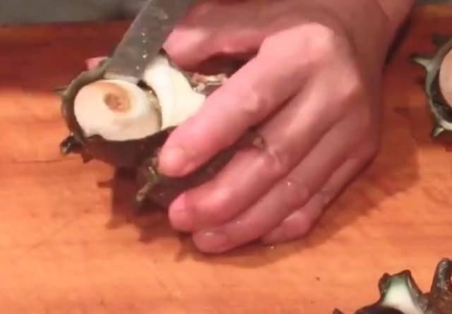 独特|日本人现场处理“海螺”,做法很独特,味道美味还很香